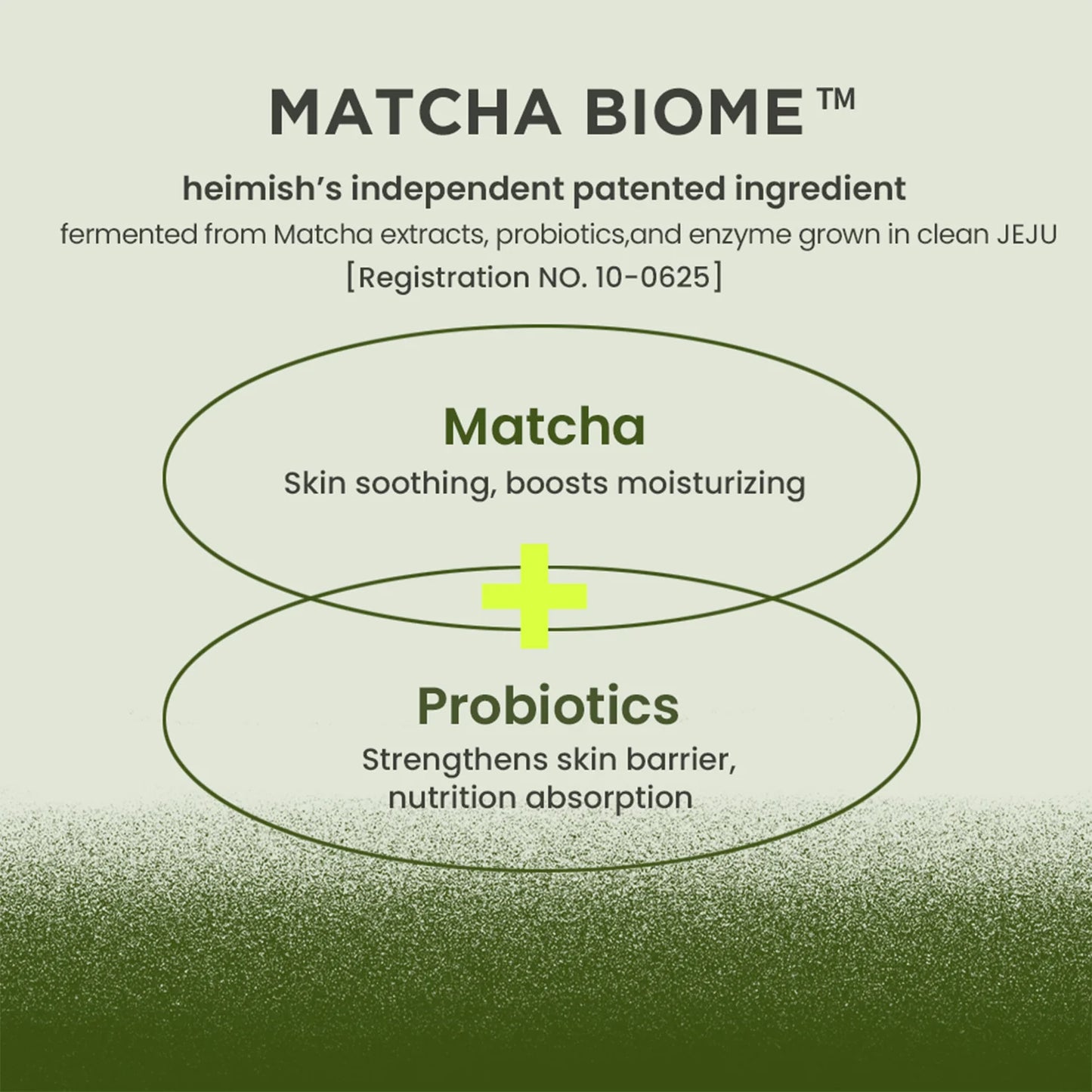 Matcha Biome Intensive Repair Cream 50ml - Rivvy Momo